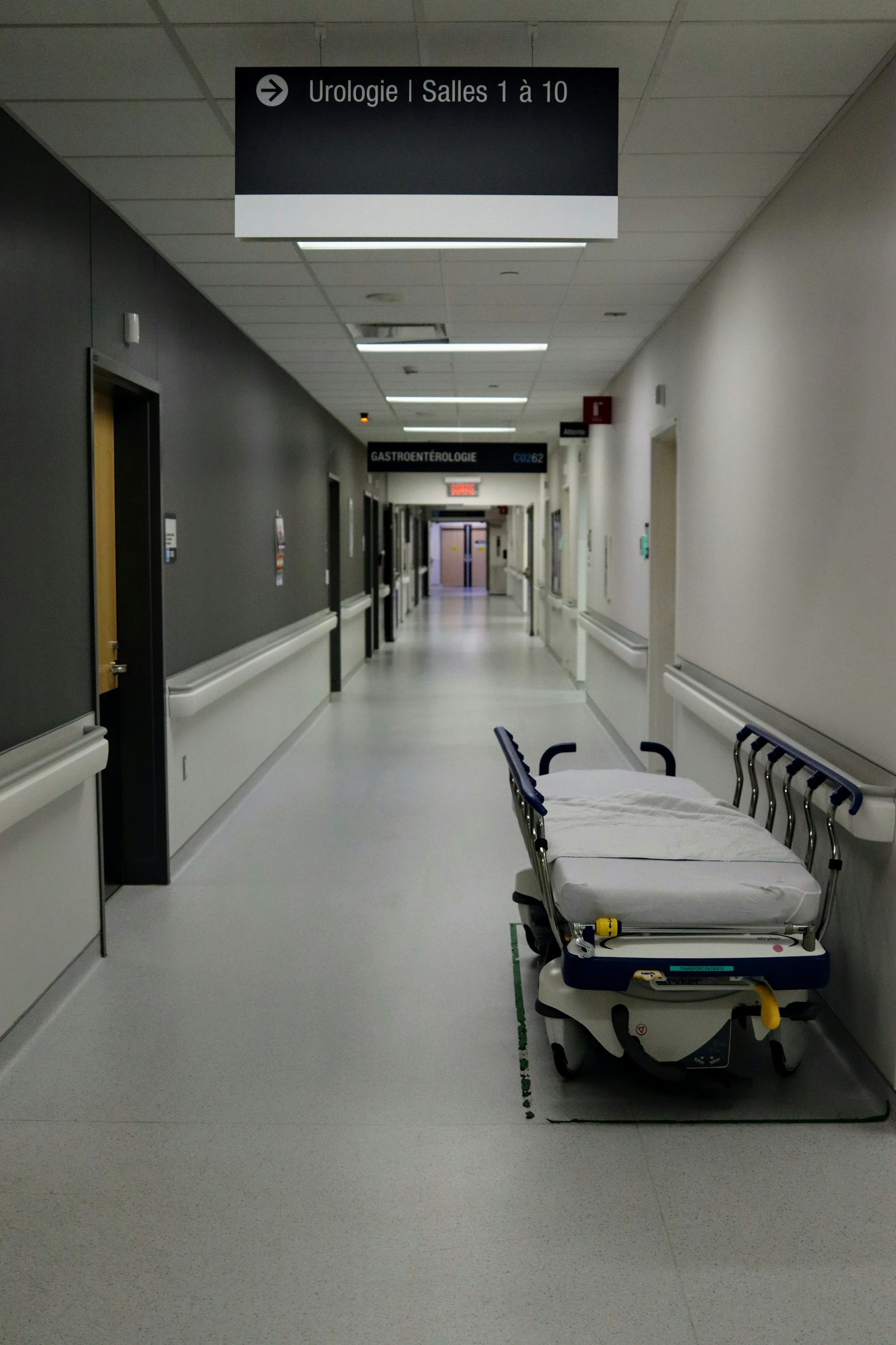 Healthcare & government